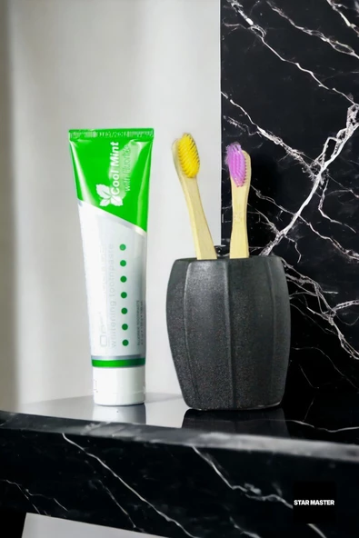 Star Master Diş Fırçası Kabı Diş Fırçalığı Fırçalık Gümüş Eskitme Renk Model 13 - Resim 2