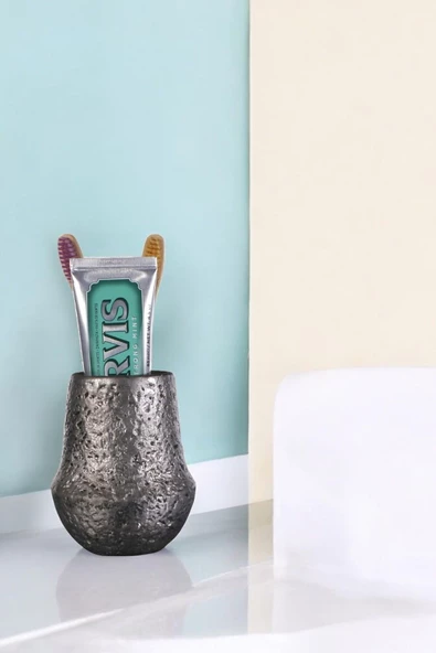 Evene Diş Fırçalığı Diş Fırçalık Diş Fırçası Standı Diş Fırçası Tutucu Gümüş Eskitme Renk Model 15