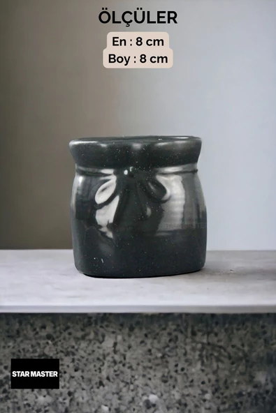 Star Master Diş Fırçası Kabı Diş Fırçalığı Fırçalık Siyah Renk Model 8 - Resim 3