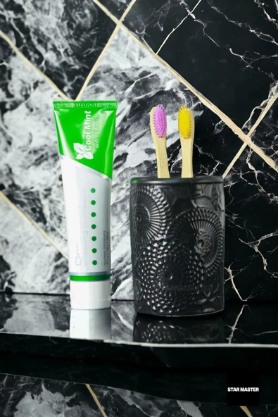 Star Master Diş Fırçası Kabı Diş Fırçalığı Fırçalık Siyah Renk Model 12 - 2
