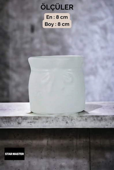 Star Master Diş Fırçası Kabı Diş Fırçalığı Fırçalık Beyaz Renk Model 8 - Resim 3