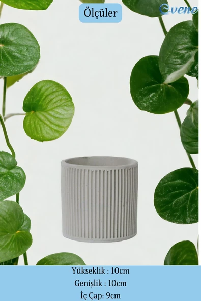 Evene Tezgah Üstü Kaşıklık Dekoratif Dik Kaşıklık Silindir Kaşıklık Beyaz Renk Model 1 - Resim 2