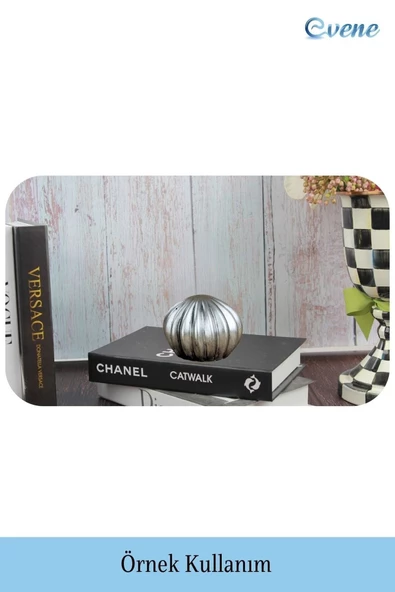 Evene Biblo Dekoratif Obje Heykel Biblo Kaktüs Biblo Dekoratif Süs Eşyası Gümüş Eskitme Renk Model 5 - Resim 2