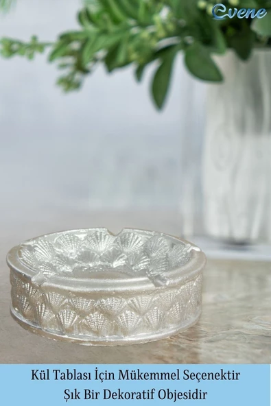 Evene Küllük Gümüş Renk Kül Tablası Dekoratif Küllük Istiridye Model - Resim 3