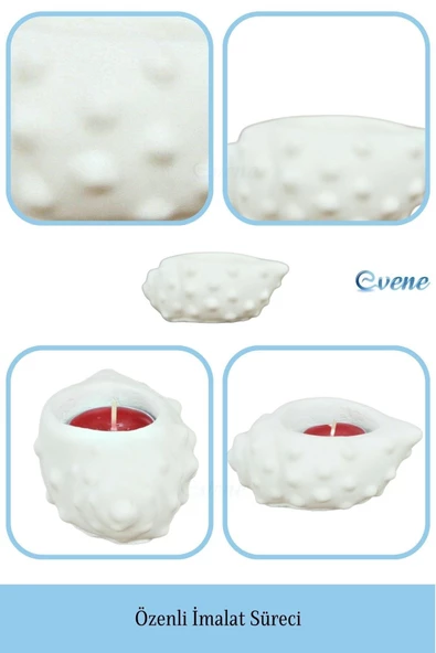 Evene Beyaz Mumluk Şamdan Tealight Mum Uyumlu Deniz Kabuğu Model - 7