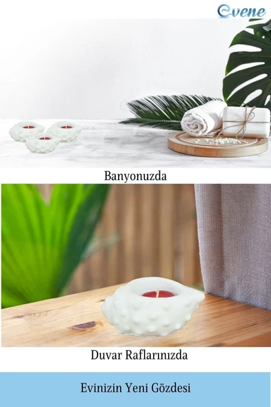 Evene Beyaz Mumluk Şamdan Tealight Mum Uyumlu Deniz Kabuğu Model - 4