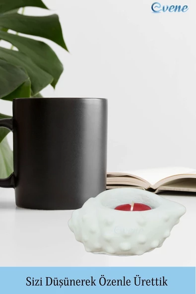 Evene Beyaz Mumluk Şamdan Tealight Mum Uyumlu Deniz Kabuğu Model - 5