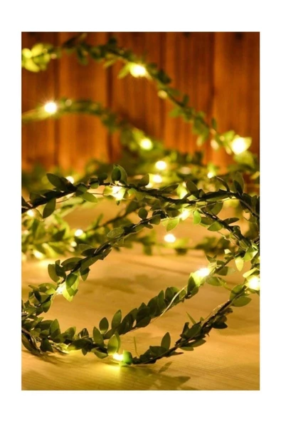 Viselia Peri Led Işık 5 Metre Sarı Renk - 4