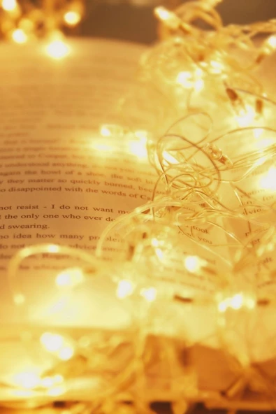 Pandogo 5 Metre Peri Led Çok Amaçlı Dekoratif Aydınlatma Bakır Tel Mekan Parti Aydınlatma 1 Adet Günışığı