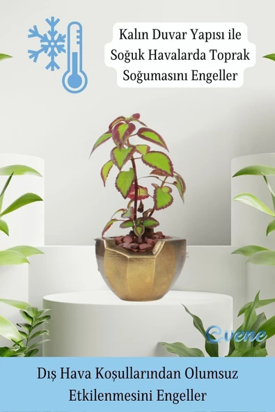 Evene Saksı Çiçek Kaktüs Saksısı Lüx 15 Cm Altın Eskitme Varak Boyalı Önü Açık Desen Saksı Çiçeklik - Resim 7