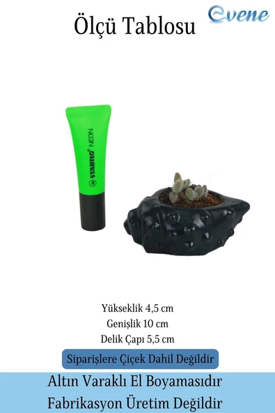 Evene Saksı Dekoratif Saksı Kaktüs Saksısı Sukulent Saksısı Küçük Saksı Model 18 Siyah Saksı - Resim 2