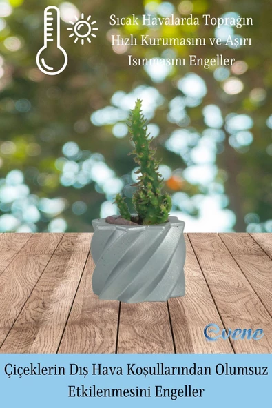 Evene Saksı Dekoratif Saksı Kaktüs Saksısı Sukulent Saksısı Küçük Saksı Model 9 Gümüş Saksı - Resim 4