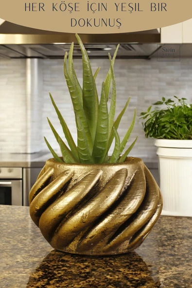 Stein Kohle Dekoratif Saksı Minik Kaktüs Saksısı Altın Eskitme Renk 1 Adet Kalın Çizgili Spiral Model - Resim 4