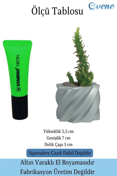Evene Saksı Dekoratif Saksı Kaktüs Saksısı Sukulent Saksısı Küçük Saksı Model 9 Gümüş Saksı - Resim 2
