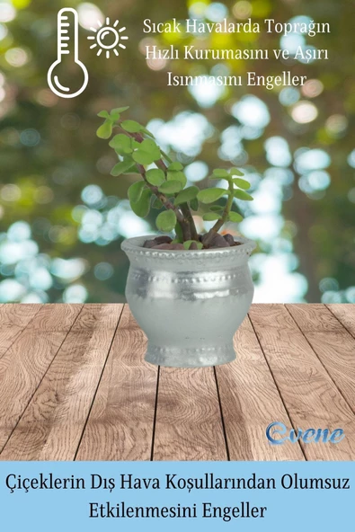 Evene Saksı Dekoratif Saksı Kaktüs Saksısı Sukulent Saksısı Küçük Saksı Model 43 Gümüş Saksı - Resim 4