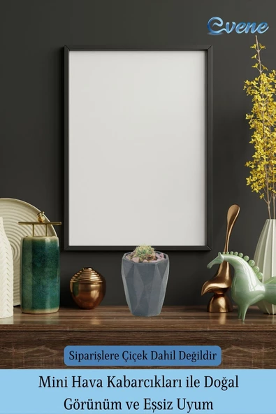 Evene Saksı Kaktüs Saksısı Dekoratif Saksı Model 12 - 6