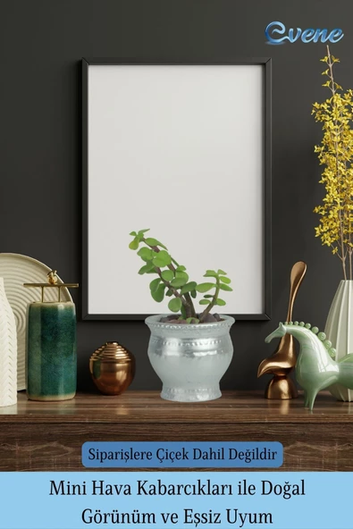 Evene Saksı Dekoratif Saksı Kaktüs Saksısı Sukulent Saksısı Küçük Saksı Model 43 Gümüş Saksı - Resim 6