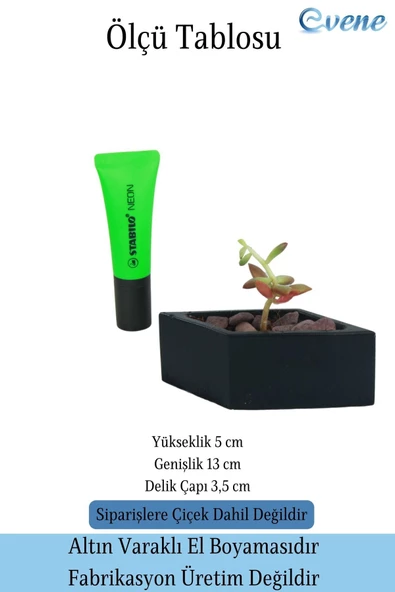 Evene Saksı Dekoratif Saksı Kaktüs Saksısı Sukulent Saksısı Küçük Saksı Model 19 Siyah Saksı - Resim 2