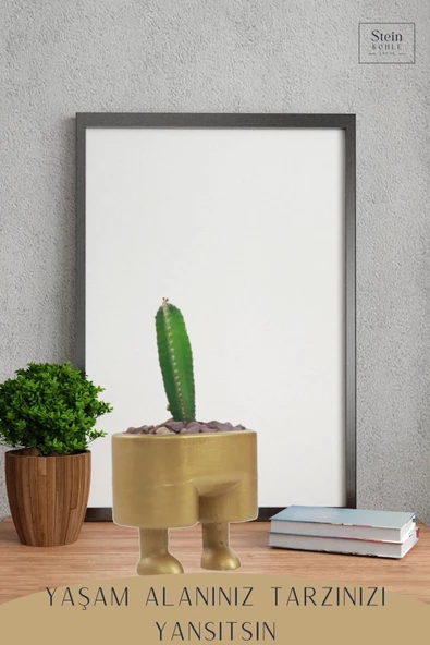 Stein Kohle Çiçek Saksısı Dekoratif Kaktüs Saksı 1 Adet Altın Renk Uygulamalı Pantolon Model - 4