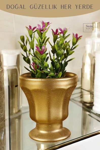 Stein Kohle Dekoratif Saksı Minik Kaktüs Saksısı Altın Renk Model 38 - Resim 5