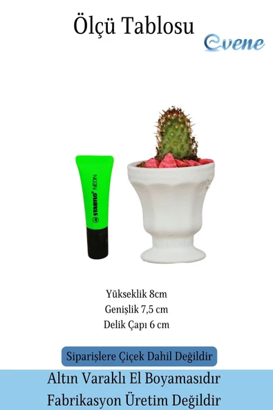 Evene Saksı Dekoratif Saksı Kaktüs Saksısı Sukulent Saksısı Küçük Saksı Model 38 Beyaz Saksı - Resim 3