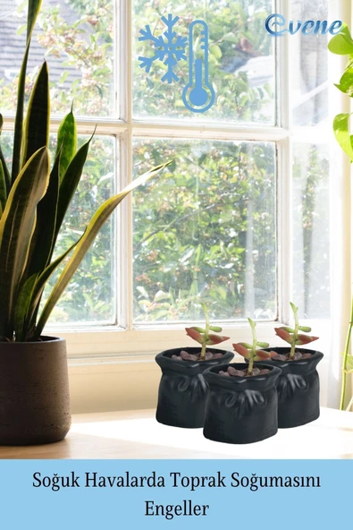 Evene Saksı Dekoratif Saksı Kaktüs Saksısı Sukulent Saksısı Küçük Saksı Model 14 Siyah Saksı - Resim 5