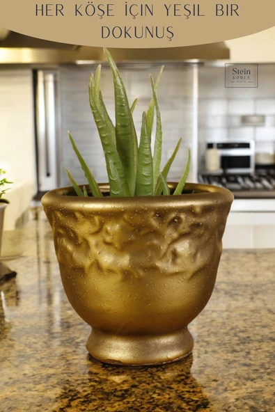 Stein Kohle Dekoratif Saksı Minik Kaktüs Saksısı Altın Eskitme Renk Model 31 - Resim 5