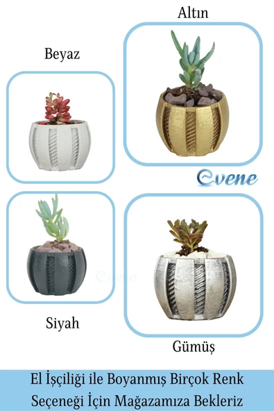 Evene Saksı Dekoratif Saksı Kaktüs Saksısı Sukulent Saksısı Küçük Saksı Model 41 Siyah Saksı - Resim 7