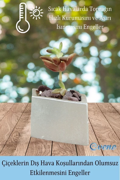 Evene Mini Çiçek Saksı Küçük Sukulent Gümüş Kaktüs Saksısı Dörtgen Yatay Model - Resim 4