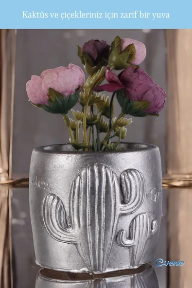 Evene Saksı Dekoratif Saksı Kaktüs Saksısı Sukulent Saksısı Küçük Saksı Model 21 Gümüş Eskitme Saksı - Resim 4