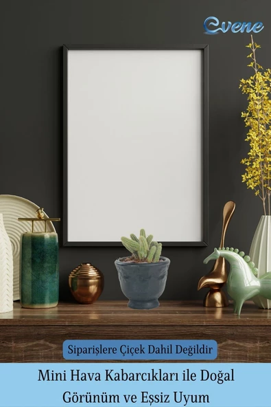 Evene Saksı Dekoratif Saksı Kaktüs Saksısı Sukulent Saksısı Küçük Saksı Model 31 Siyah Saksı - Resim 6