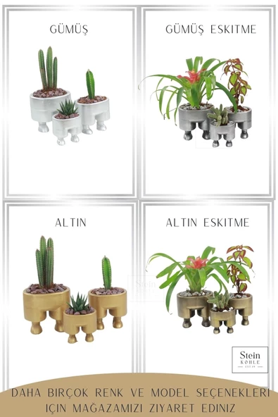 Stein Kohle Ayaklı Saksı Ahşap Dekoratif Kaktüs Saksısı 1 Adet Altın Renk Uygulamalı Pantolon Model - 5