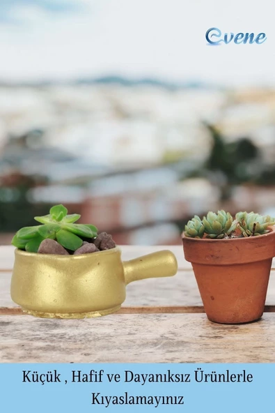 Evene Mini Çiçek Saksı Küçük Sukulent Altın Kaktüs Saksısı Tava Model - Resim 3