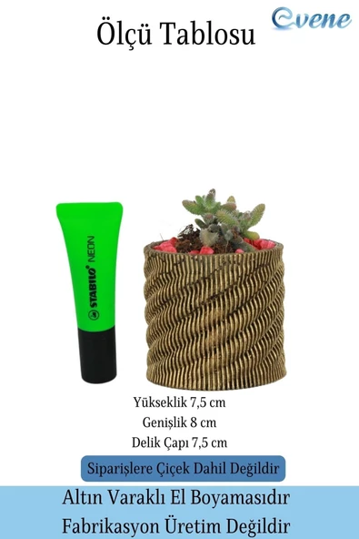 Evene Saksı Dekoratif Saksı Kaktüs Saksısı Sukulent Saksısı Küçük Saksı Model 39 Altın Saksı - Resim 2