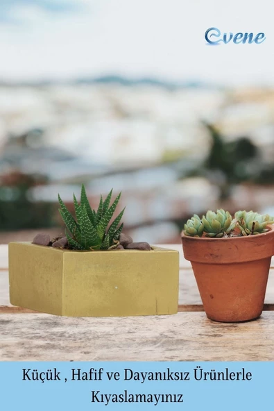 Evene Mini Çiçek Saksı Küçük Sukulent Altın Kaktüs Saksısı Dörtgen Yatay Model - Resim 3