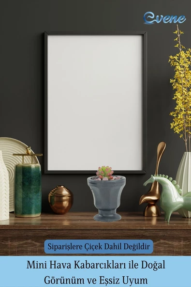 Evene Saksı Dekoratif Saksı Kaktüs Saksısı Sukulent Saksısı Küçük Saksı Model 38 Siyah Saksı - Resim 6