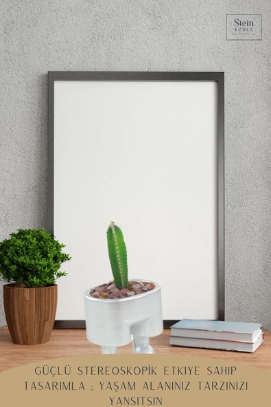 Stein Kohle Çiçek Saksısı Dekoratif Kaktüs Saksı 1 Adet Gümüş Renk Uygulamalı Pantolon Model - 4