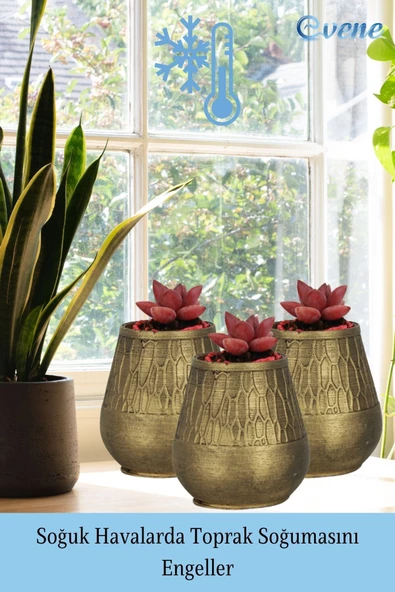 Evene Saksı Dekoratif Saksı Kaktüs Saksısı Sukulent Saksısı Küçük Saksı Model 35 Altın Saksı - Resim 5