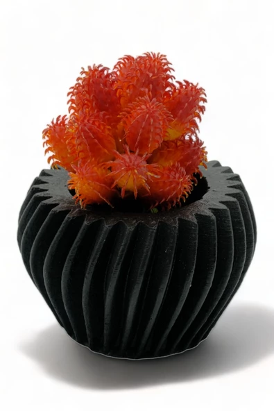 Evene Saksı Dekoratif Saksı Kaktüs Saksısı Sukulent Saksısı Küçük Saksı Model 13 Siyah Saksı ürün görseli 1