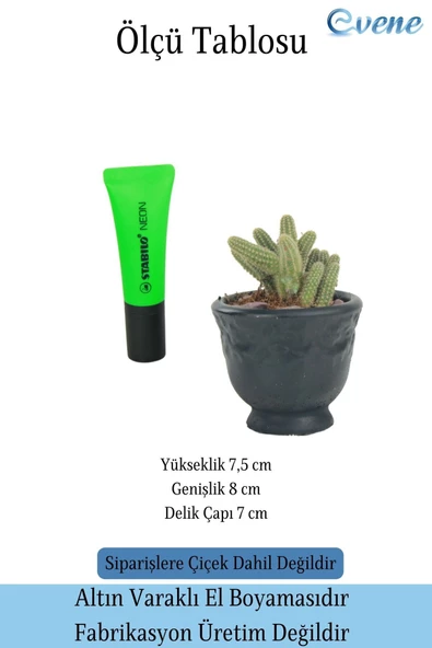 Evene Saksı Dekoratif Saksı Kaktüs Saksısı Sukulent Saksısı Küçük Saksı Model 31 Siyah Saksı - Resim 2