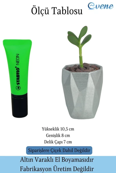 Evene Saksı Kaktüs Saksısı Dekoratif Saksı Model 12 - Resim 2