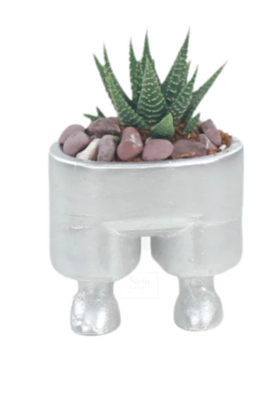 Stein Kohle Çiçek Saksısı Dekoratif Kaktüs Saksı 1 Adet Gümüş Renk Uygulamalı Pantolon Model