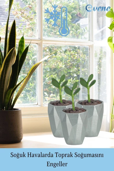 Evene Saksı Kaktüs Saksısı Dekoratif Saksı Model 12 - Resim 5