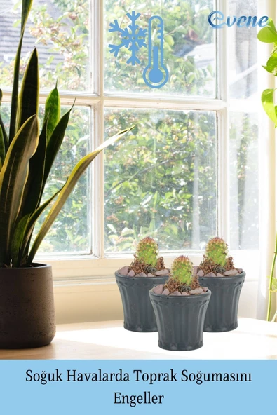 Evene Saksı Dekoratif Saksı Kaktüs Saksısı Sukulent Saksısı Küçük Saksı Model 40 Siyah Saksı - Resim 6