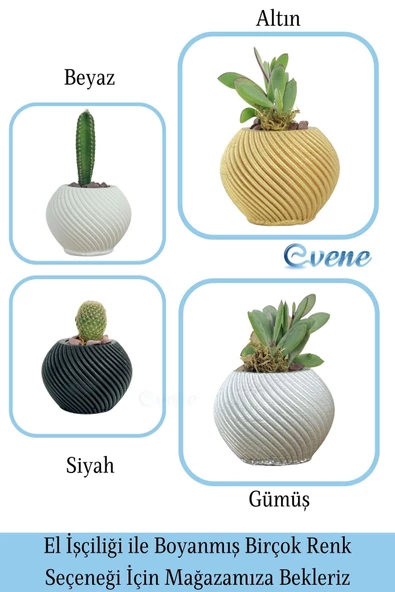 Evene Saksı Dekoratif Saksı Kaktüs Saksısı Sukulent Saksısı Küçük Saksı Model 1 Siyah Saksı - Resim 7