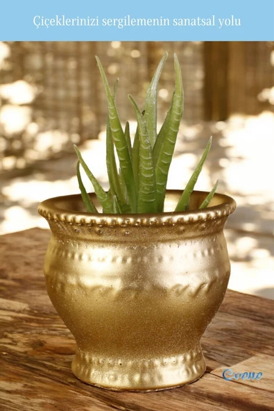 Evene Saksı Dekoratif Saksı Kaktüs Saksısı Sukulent Saksısı Küçük Saksı Model 43 Altın Saksı - Resim 3