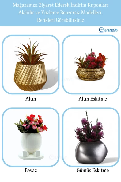 Evene Mini Çiçek Saksı Küçük Sukulent Altın Kaktüs Saksısı Kalın Çizgili Spiral Model - Resim 6