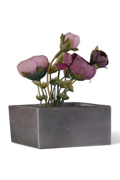 Evene Mini Çiçek Saksı Küçük Sukulent Gümüş Eskitme Kaktüs Saksısı Dörtgen Yatay Model ürün görseli 1