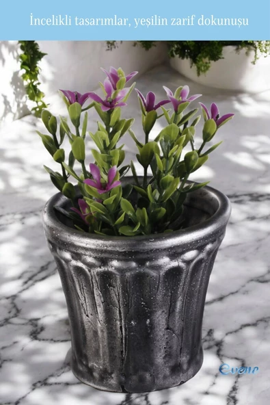 Evene Saksı Dekoratif Saksı Kaktüs Saksısı Sukulent Saksısı Küçük Saksı Model 40 Gümüş Eskitme Saksı - Resim 5