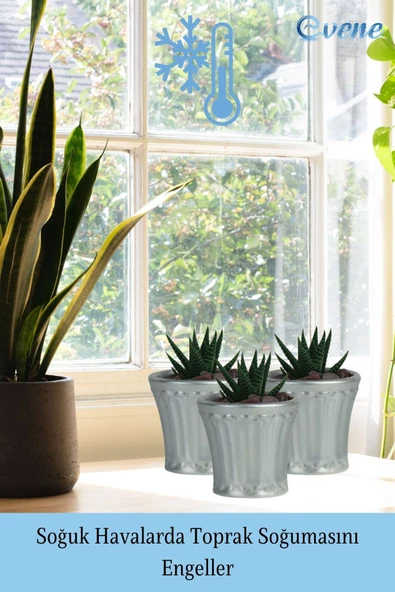 Evene Saksı Dekoratif Saksı Kaktüs Saksısı Sukulent Saksısı Küçük Saksı Model 40 Gümüş Saksı - Resim 5